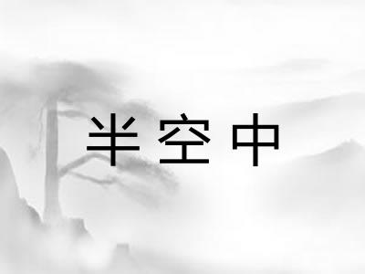 半空中