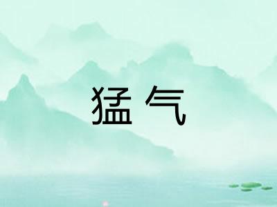 猛气