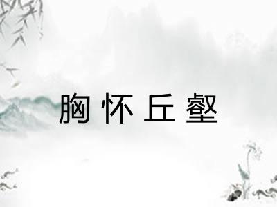 胸怀丘壑