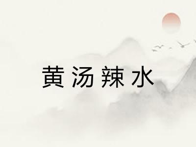 黄汤辣水