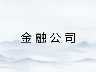 金融公司