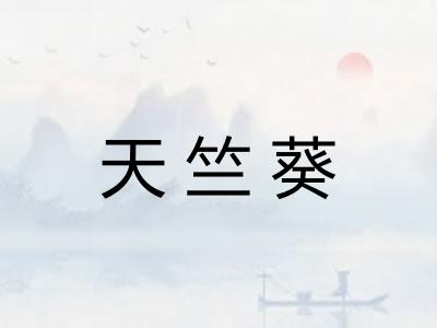 天竺葵