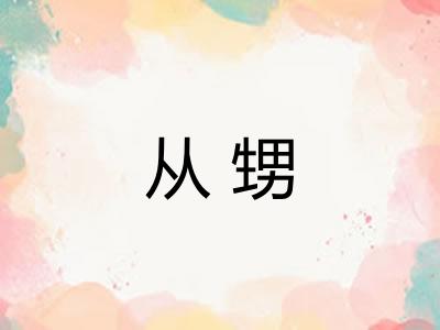 从甥