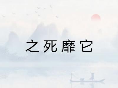 之死靡它