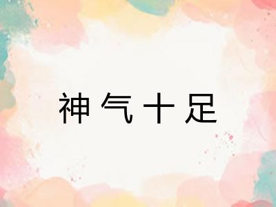 神气十足