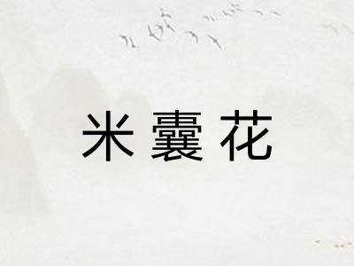 米囊花