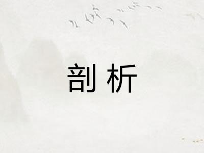 剖析