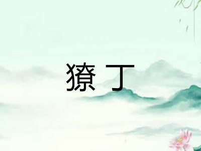 獠丁