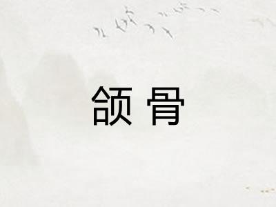 颌骨