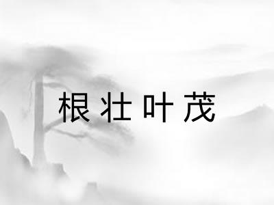 根壮叶茂