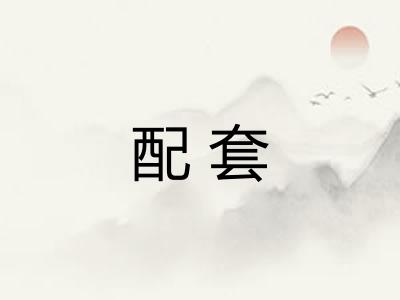 配套