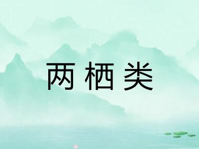 两栖类