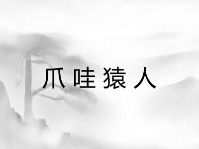 爪哇猿人