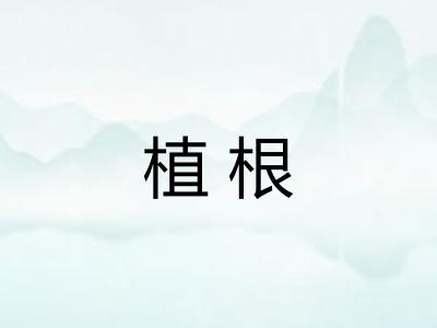植根