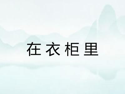 在衣柜里