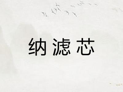 纳滤芯