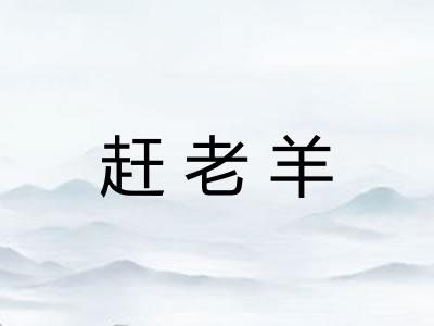 赶老羊
