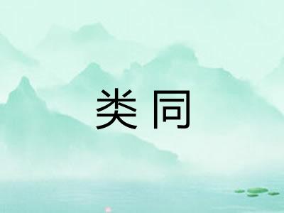 类同