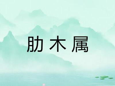肋木属