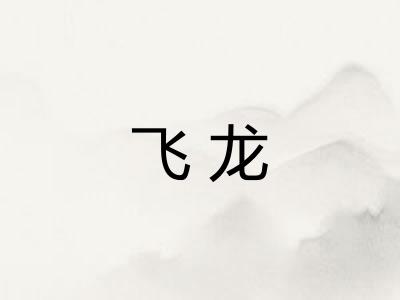 飞龙