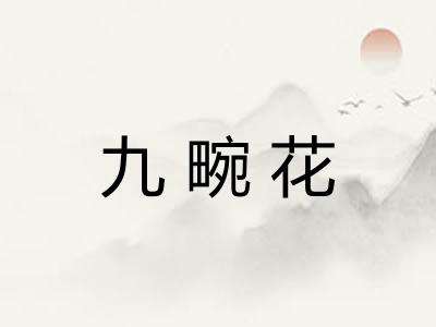 九畹花