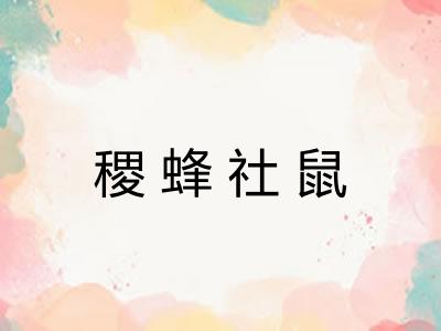 稷蜂社鼠 稷蜂社鼠