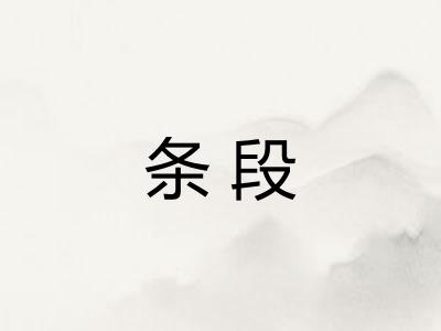 条段
