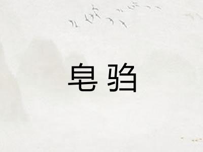皂驺