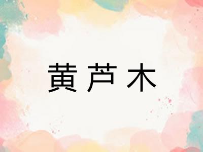 黄芦木