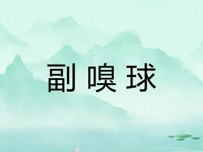 副嗅球