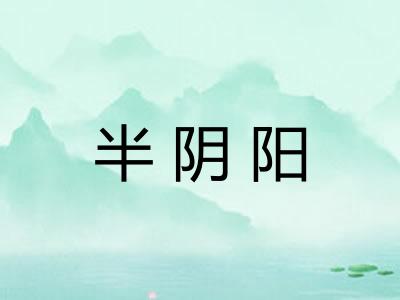 半阴阳