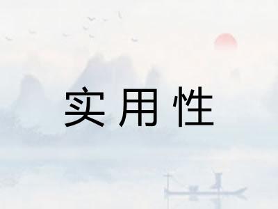 实用性