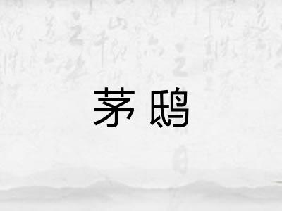茅鸱