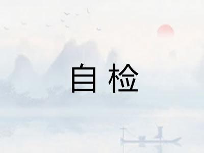 自检