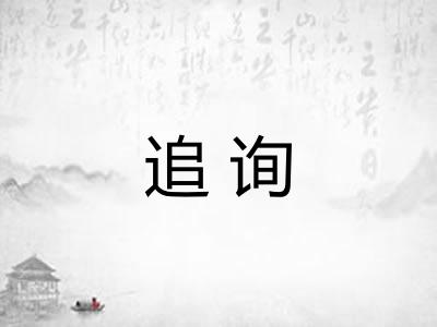 追询