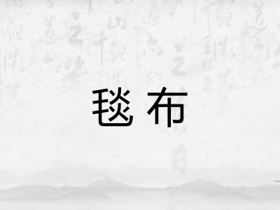 毯布