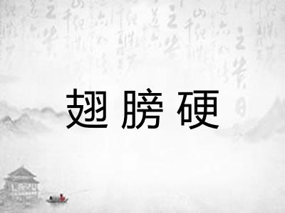 翅膀硬