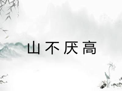 山不厌高