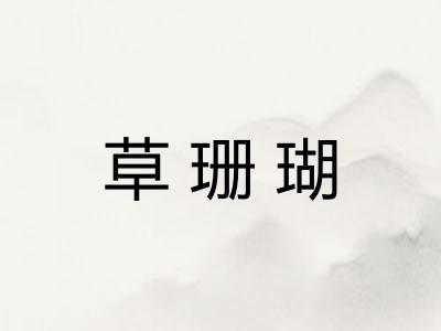 草珊瑚
