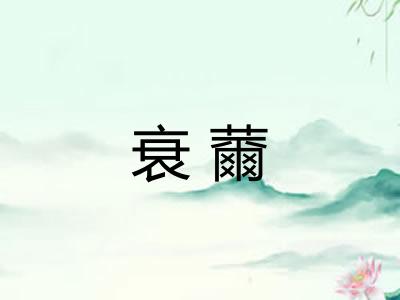衰薾