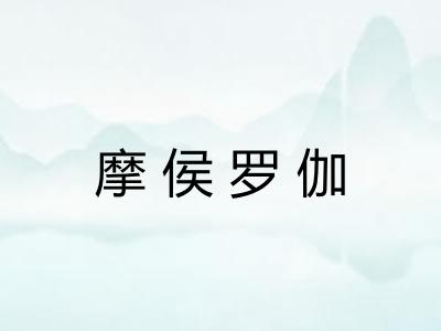摩侯罗伽
