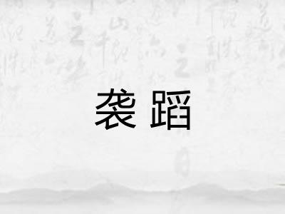 袭蹈