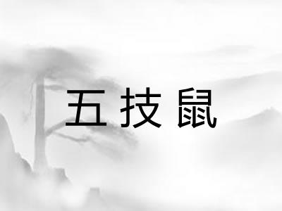 五技鼠