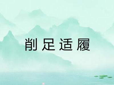 削足适履
