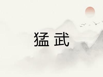 猛武