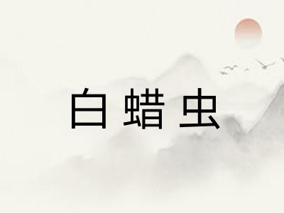 白蜡虫