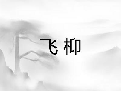 飞枊