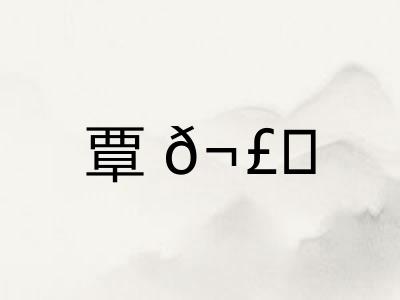 覃𬣙
