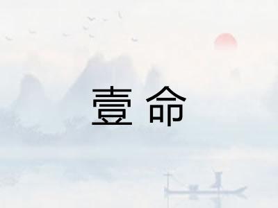 壹命