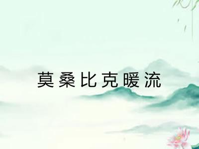 莫桑比克暖流